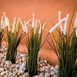 Vivi Homes - Boho Sunrise Alminar Pool, Garden & Terrace